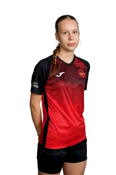 Seppänen, Nea